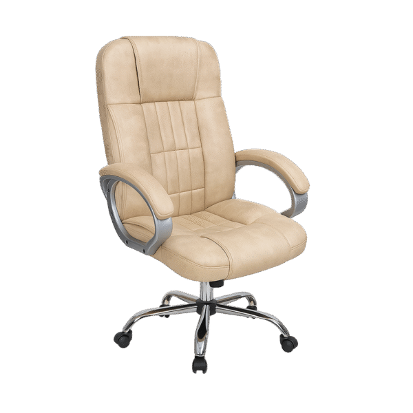 Double Cushion – Premium Comfort Office Chair
